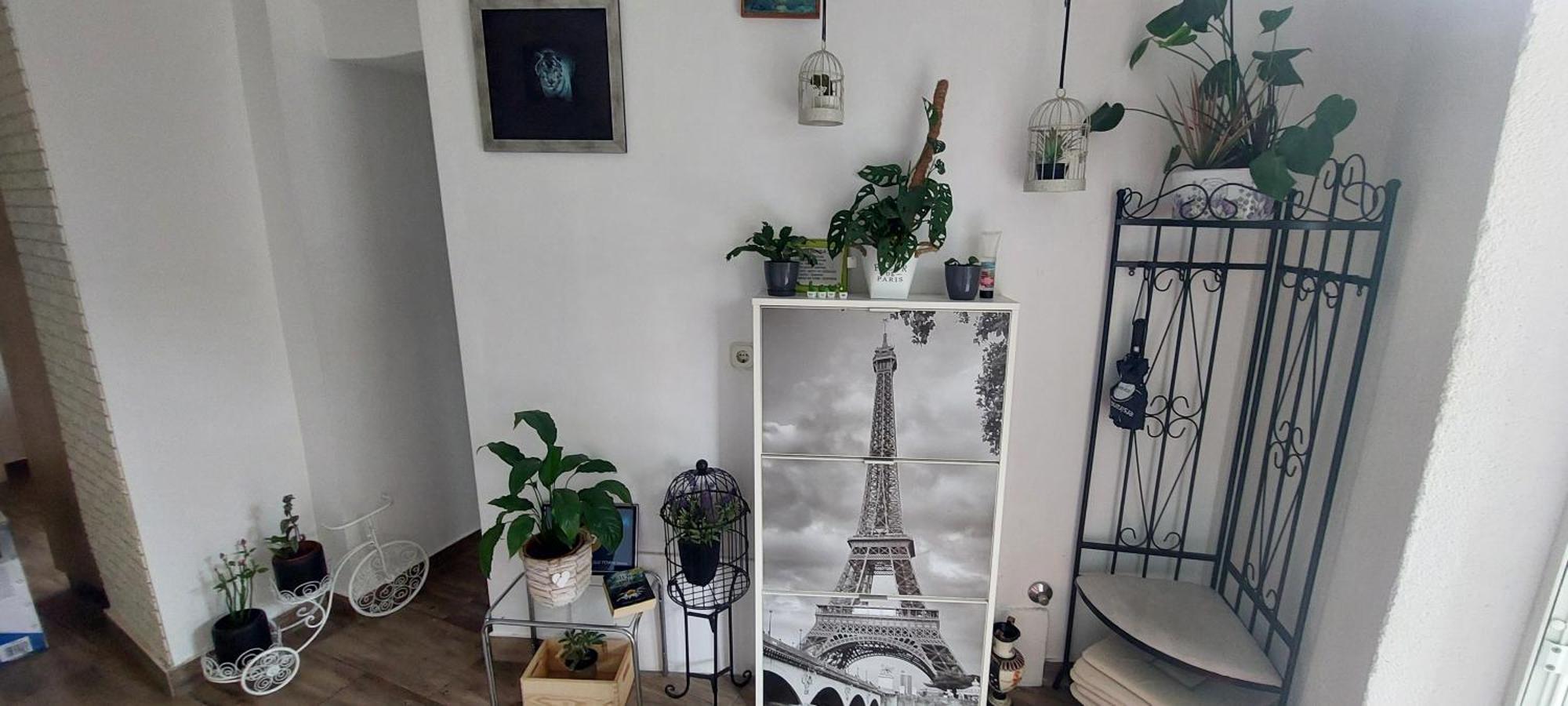 Old Town Sole Apartment สปลิท ภายนอก รูปภาพ
